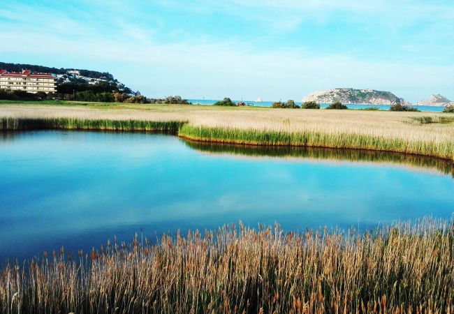 Apartamento en Estartit - Apartamento  Rocamaura Iv-2-9 Apartamento en Estartit - Apartamento  Rocamaura Iv-2-9