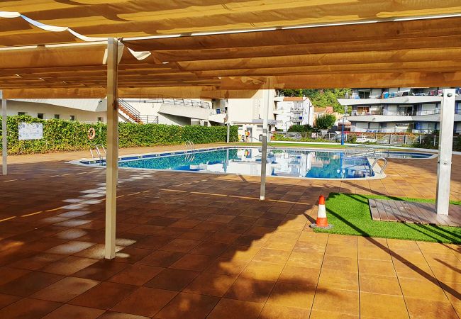 Apartament en Estartit - Rocamaura II-6-9 Estartit Apartament en Estartit - Rocamaura II-6-9 Estartit
