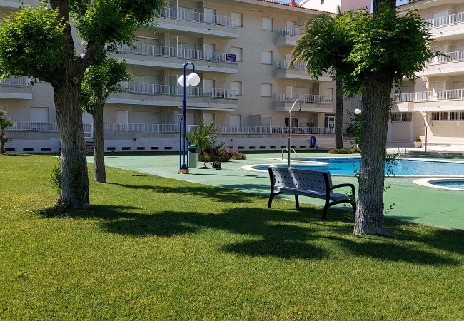 Apartament en Estartit - Blaumar  A33 vista a la piscina Apartament en Estartit - Blaumar  A33 vista a la piscina