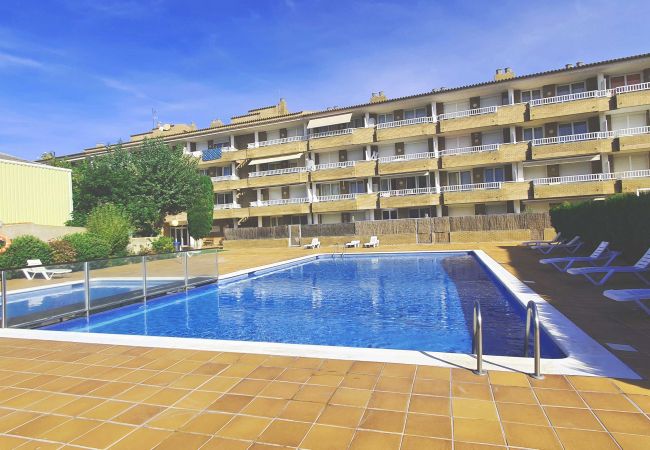 Studio in Estartit - Atelierwohnung Sol  Studio in Estartit - Atelierwohnung Sol