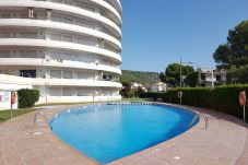 Apartment in Estartit - Apartment Medes Parck II-1-2