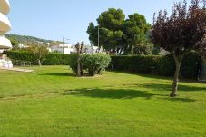 Apartment in Estartit - Apartment Medes Parck II-1-2