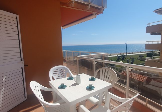 Apartment in Estartit - Apartment Artit C1 Apartment in Estartit - Apartment Artit C1
