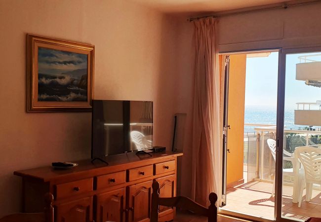 Apartment in Estartit - Apartment Artit C1 Apartment in Estartit - Apartment Artit C1