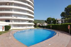 Apartment in Estartit - Apartment Medes Park I 4-6