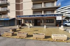 Local Commercial à Estartit - Local centric