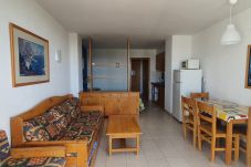 Estudio en Estartit - Studio