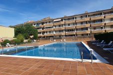 Estudio en Estartit - Studio